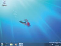 999329windows7.jpg