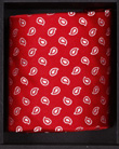 13162 Rot mit Paisley